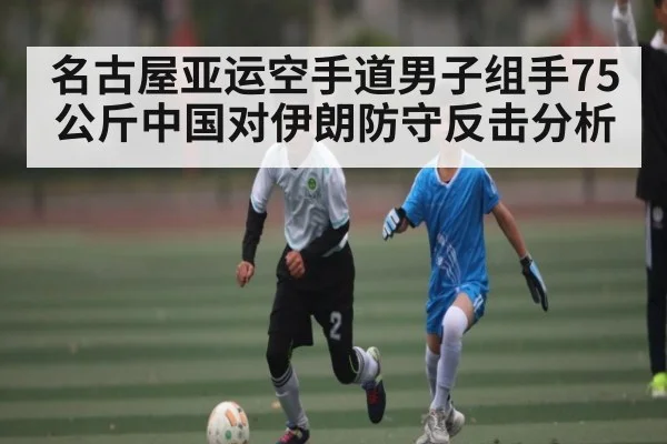 名古屋亚运空手道男子组手75公斤中国对伊朗防守反击分析